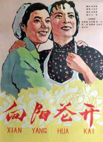 中国成人一区